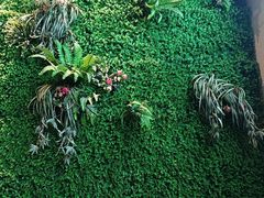 -洛阳宴·洛阳菜(南昌路店)