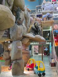 -卡通尼·Safari非洲探索乐园·生日会(金桥国际商业广场店)