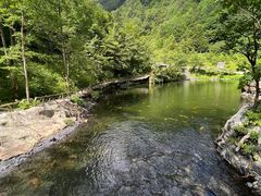 -凤凰山国家森林公园