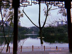-重庆彩云湖湿地公园