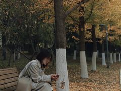 -长白岛森林公园