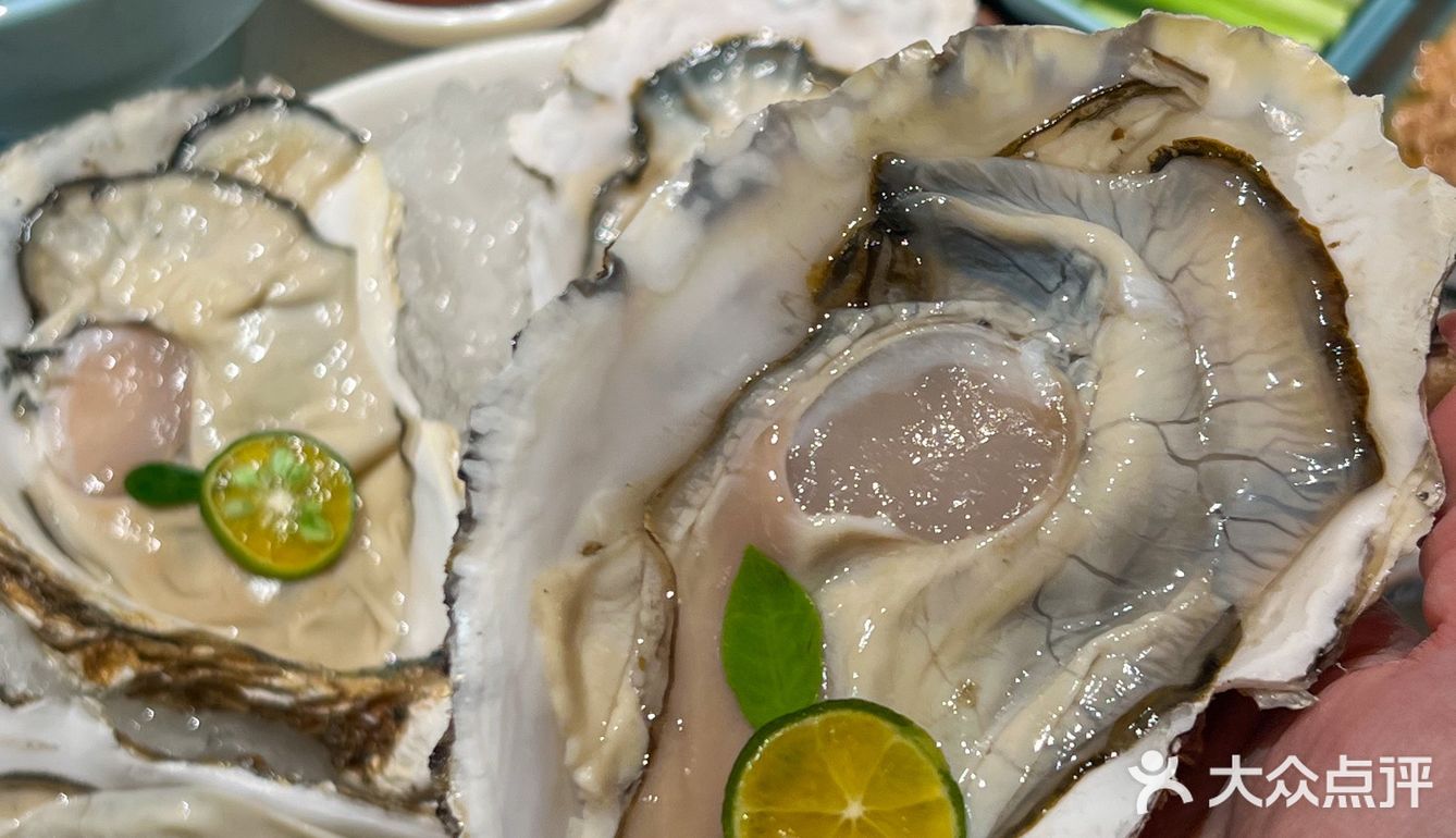 大连📍开海季…吃大连海鲜的快乐你造吗⁉️