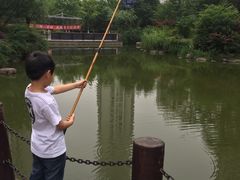 -新湖明珠城