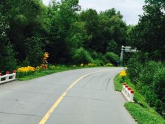 -峡谷浮石林景区