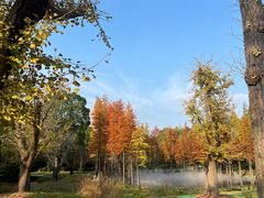 -南京银杏湖乐园