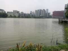 -弘毅大酒店(武汉大学国际学术交流中心店)