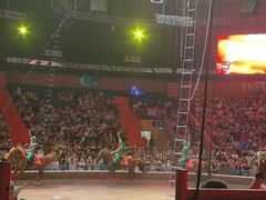 -俄罗斯国家大马戏团