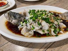 葱花鲈鱼-王家厨房(新华路店)