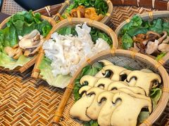 -滇野云南野生菌餐厅(陕西南路店)