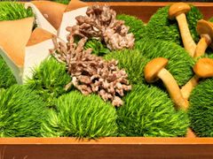 -滟设火锅料理(南滨路店)