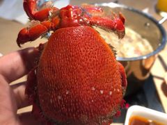 -星伦多 自助料理(圆融店)