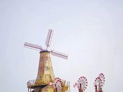 -大塘金香草谷