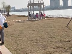 -九龙湖公园
