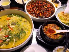 -陈麻婆豆腐总店