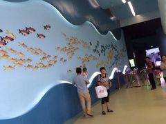 游乐设施-福州罗源湾海洋世界旅游区