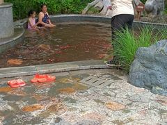 -太白山御龙湾温泉