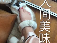 -LELECHA乐乐茶(新街口大洋店)