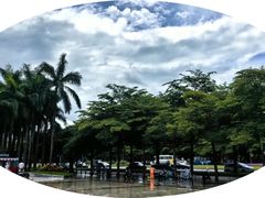 -深圳国际园林花卉博览园