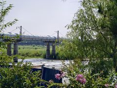 -绿堤公园