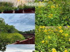 -福田红树林生态公园