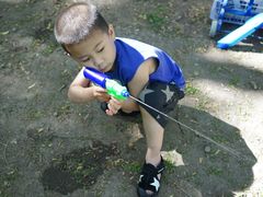 -长白岛森林公园