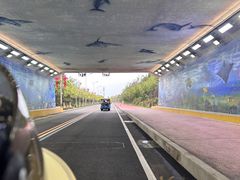 -湄洲岛