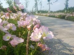 -滆湖低碳生态公园