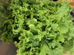 -炉队长·齐齐哈尔家庭烤肉(马家堡店)