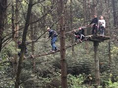 -梦幻奥陶纪景区