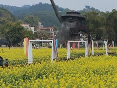 -红山村