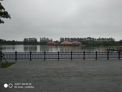 -上海长兴岛郊野公园