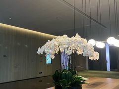 -西安高新洲际酒店•彩丰楼中餐厅