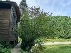 -武陵山森林公园