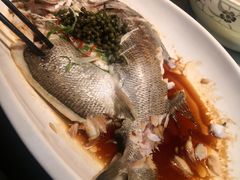 -九朝会昆曲·宴(望京店)