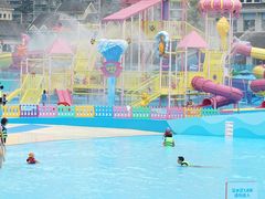 -海合安成都极地海洋公园