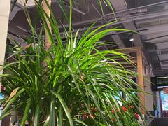 -管氏翅吧(地安门店)