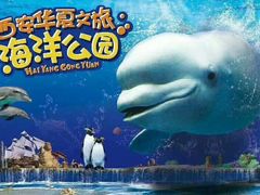 -华夏文旅海洋公园