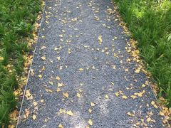 -昆山城市生态森林公园