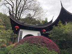 -十八棵（老龙井）御茶园(老龙井店)