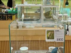 -帕帕拉兹宠物(亚洲旗舰店)