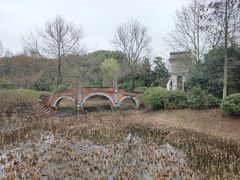 -蠡湖中央公园