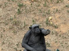 -石家庄市动物园