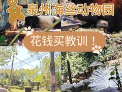 -泉州海丝野生动物世界