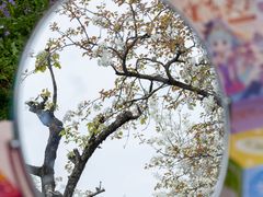 -江苏三台山国家森林公园