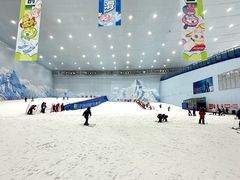 -哈尔滨热雪奇迹