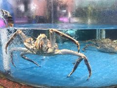 -马王堆海鲜水产市场