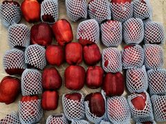 -西郊国际农产品交易中心