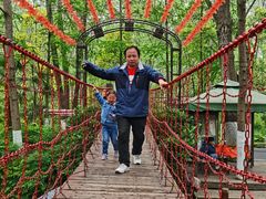 -合肥滨湖国家森林公园