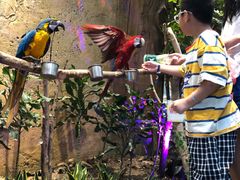 -杭州开元森泊度假乐园