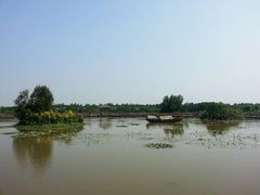 android_upload_pic-大湾区中央湿地公园